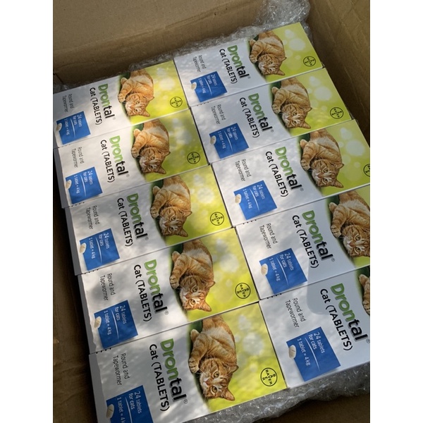 Thực phẩm hỗ trợ đường ruột cho mèo - sổ l ãi