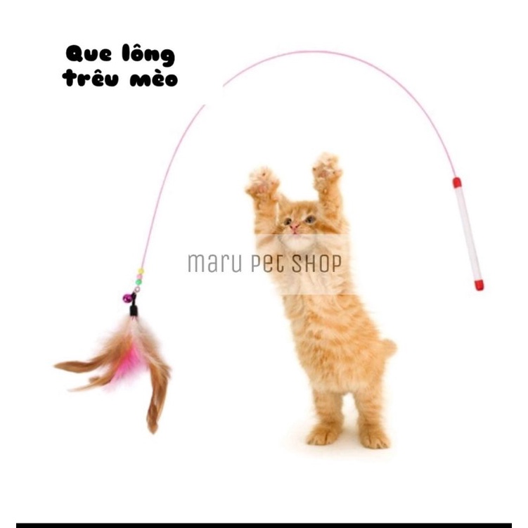 Que trêu mèo đính lông vũ