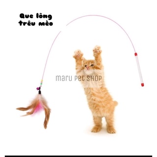 Que trêu mèo đính lông vũ