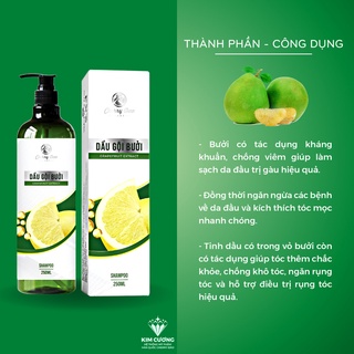 COMBO DẦU GỘI BƯỞI CRD