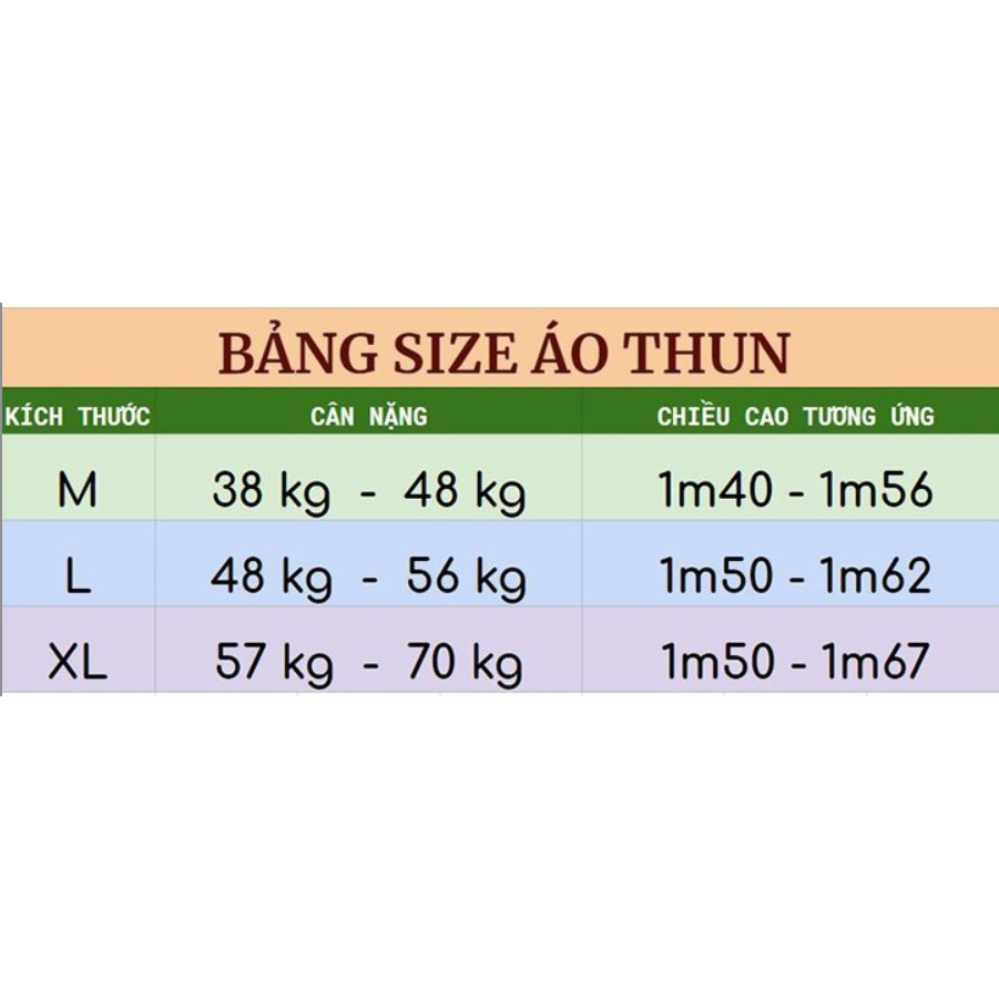 Áo thun nữ hàn quốc form rộng AP44 siêu rẽ đẹp