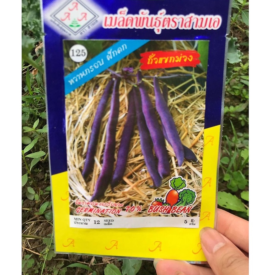 Hạt giống Đậu cove tím leo giàn nhập thái lan nguyên gói 5gr (~12 hạt) (Bush Bean)