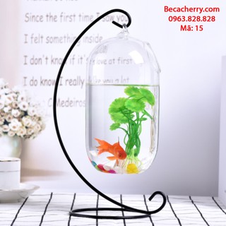 Bể cá mini C33 -15 (bình dưa 20cm)