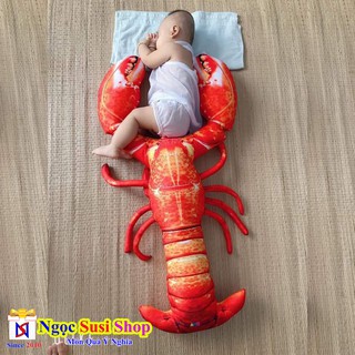 GẤU BÔNG TÔM HÙM [CỰC HOT ]
