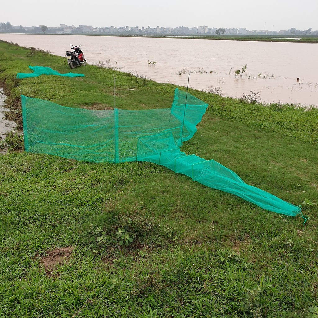 Đăng chặn sông, cống - bắt tôm tép tất cả các loại cá - Dớn bắt cá, cua, lươn - Top1VN y hình 252