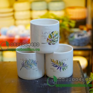 Chậu trụ in hình - Chậu trồng cây để bàn mini, phong thủy, cây nội thất
