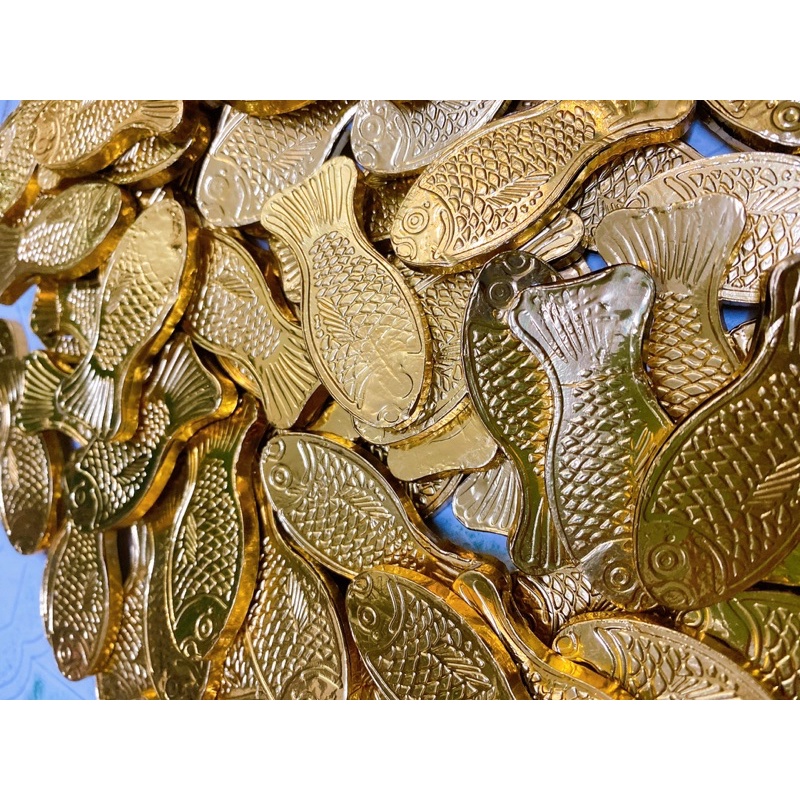 [ 10 con] Socola cá chép vàng
