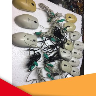 {GOOD} Chuột Quang Cổng cắm tròn