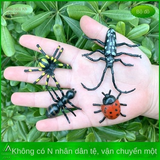 YMô phỏng nhện kiến ​​bọ rùa longhorn bọ cánh cứng mẫu giáo đồ chơi trẻ em dễ thương côn trùng giả động vật nhựa hình tĩ
