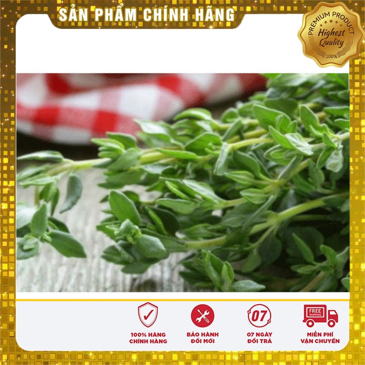 Hạt giống Rau Húng tây ( gia vị ngon TỐT Gói 1 gram )