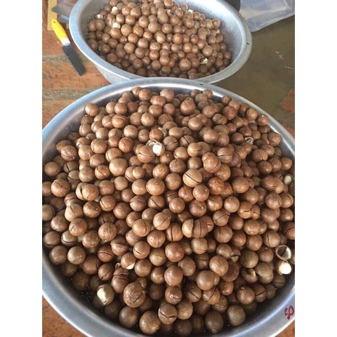 Hạt Macca Organic Sạch size A tốt cho tim mạch, huyết áp, đề kháng và phụ nữ có thai (hạt mắc ca)