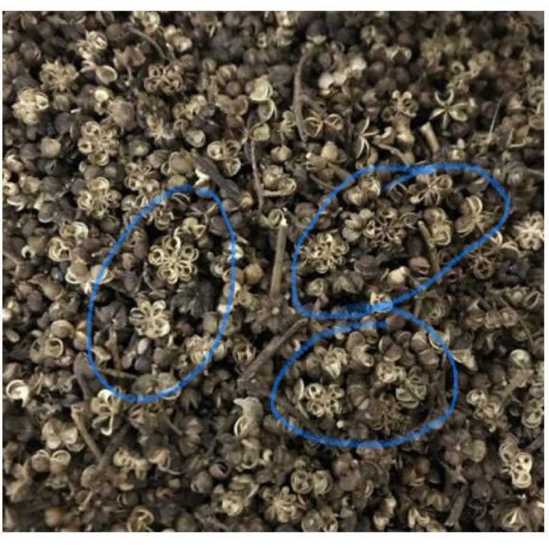 Hạt mắc khén  100g