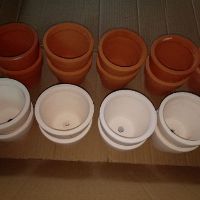 Chậu đất nung 9cm x 9cm