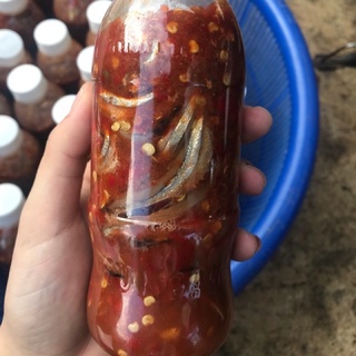 Mắm Bình Định