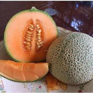 Hạt giống Dưa lưới F1 (Ruột cam, Siêu ngọt)