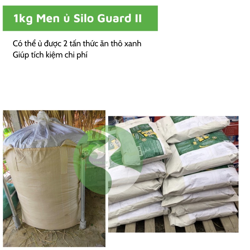 Men ủ cỏ chua 1Kg Silo guadr Dương Ninh có tác dụng với 2 tấn thức ăn MU55