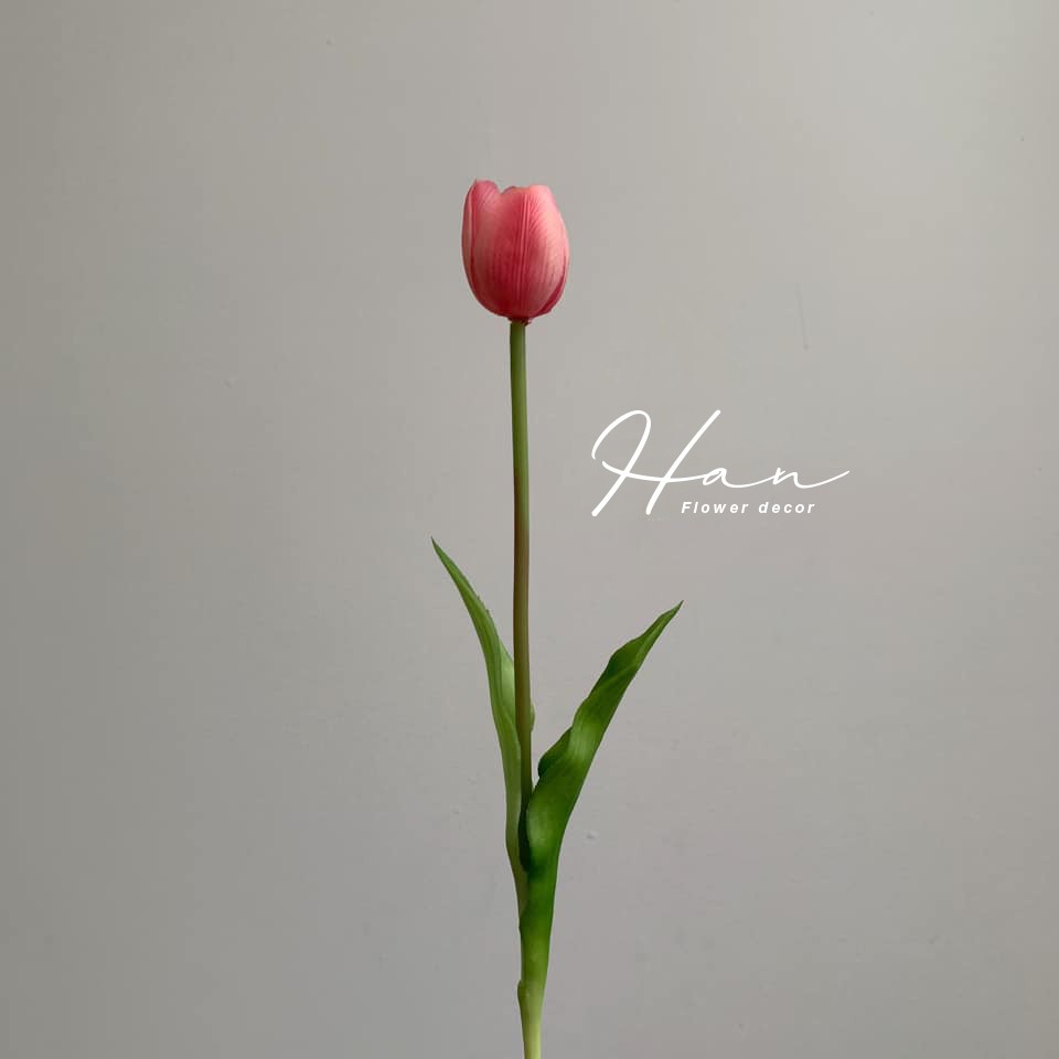 Hoa tulip - Hoa giả PU nhập khẩu giống thật 99% - Cao 52cm phụ kiện chụp hình