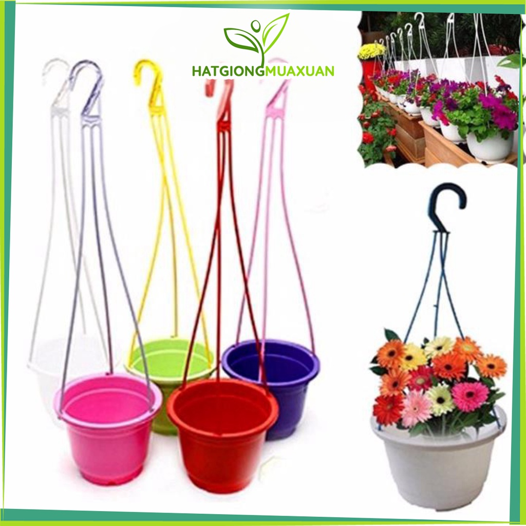 [HOT] Chậu nhựa trồng hoa treo 17x12cm c/lượng, hg C/ty.