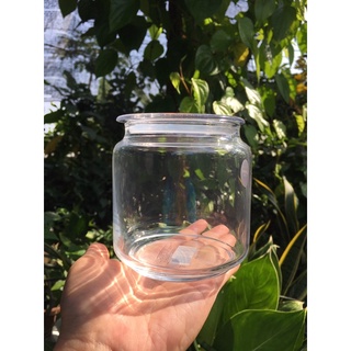 HỦ GIA VỊ / TRANG TRI Hủ Thuỷ Tinh Luminarc