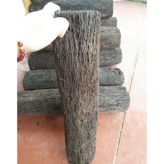 Dớn trụ ghép lan 10x40cm