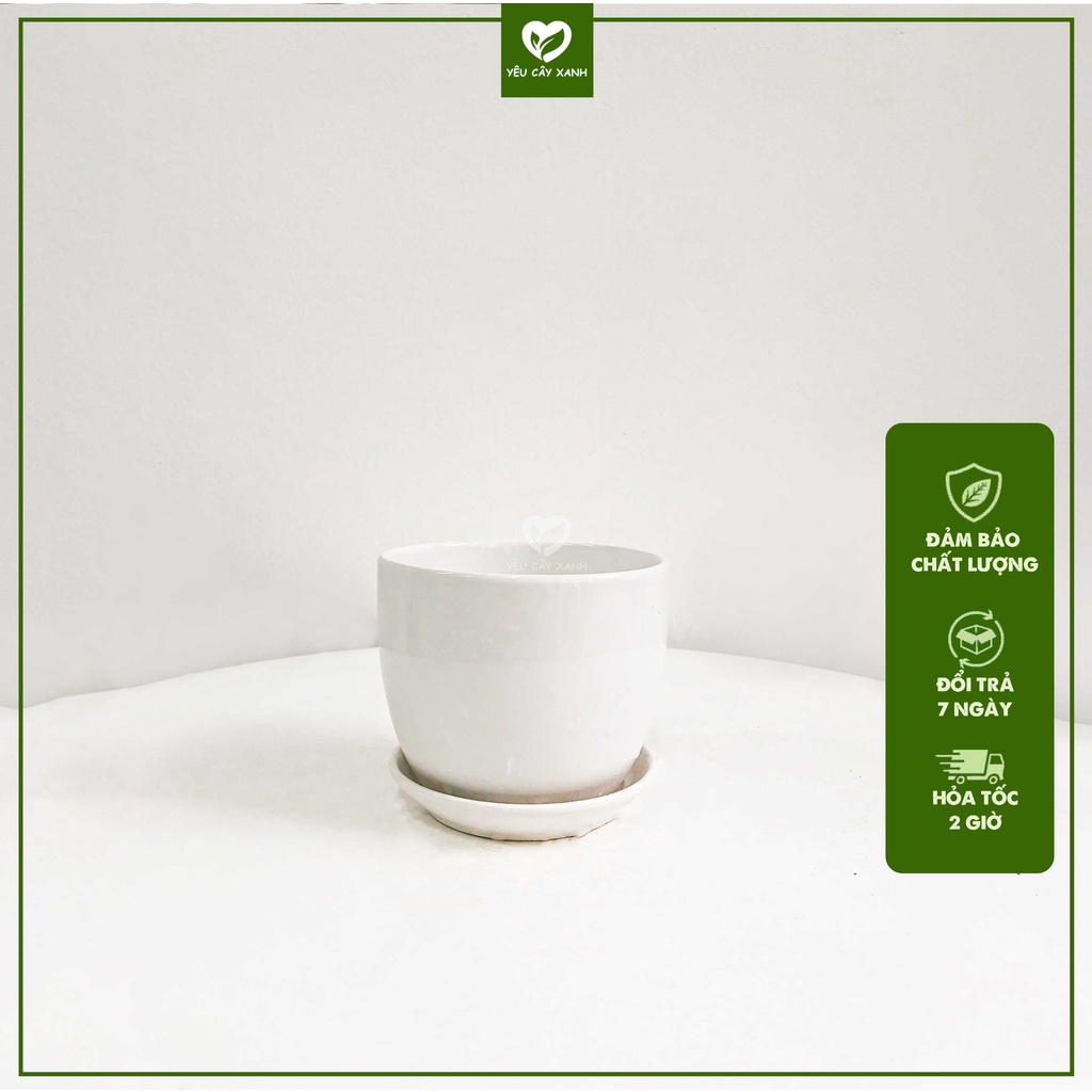 Chậu Sứ Có Đĩa Lót sẵn tránh tràn nước