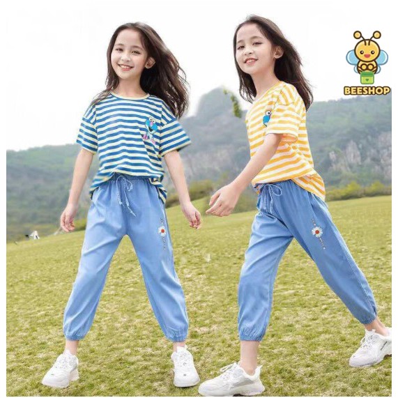 Áo thun ngắn tay bé gái chất cotton cao cấp full size cho trẻ em Beeshop H21024