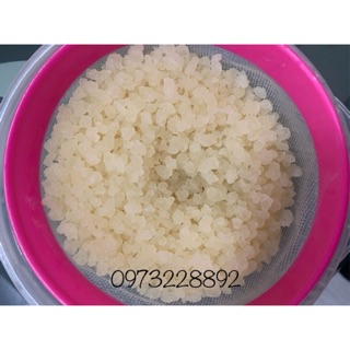Water kefir/ Nấm nước kefir (1 phần 20gr nấm cân khô)