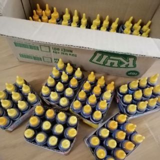 2 lọ thuốc diệt kiến gián tận gốc , hiệu quả an toàn cho gia đình hoạt chất sinh học  mật mía, hương phấn hoa