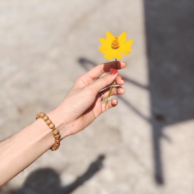 tosulove, Cửa hàng trực tuyến | BigBuy360 - bigbuy360.vn