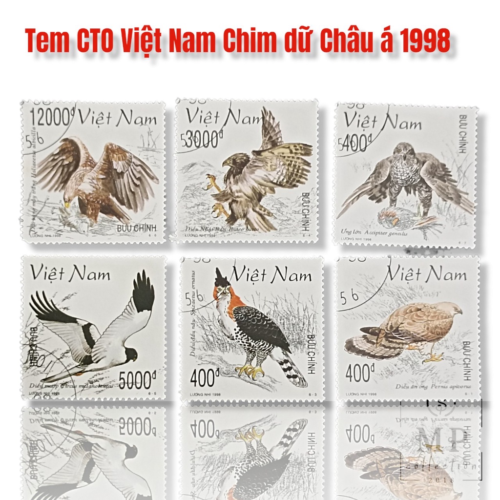 em sưu tập Tem CTO Việt Nam Chim dữ Châu á 1998 ( 6 tem )