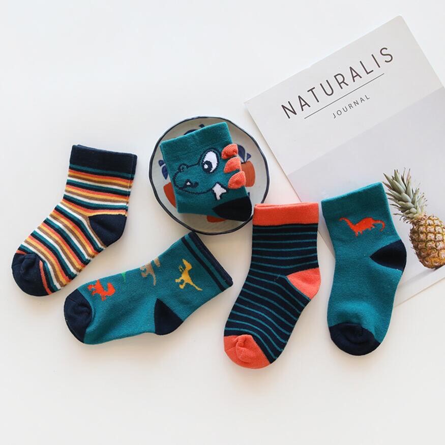 Set 5 Đôi Tất Vớ Cổ Cao Cho Bé Hình Khủng Long