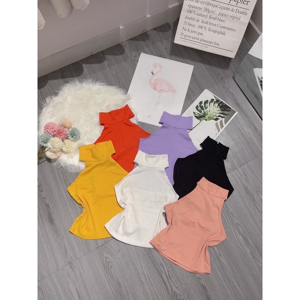 Áo cổ yếm chất borip siêu mịn siêu co dãn - freesize dưới 55kg - carotshop | BigBuy360 - bigbuy360.vn