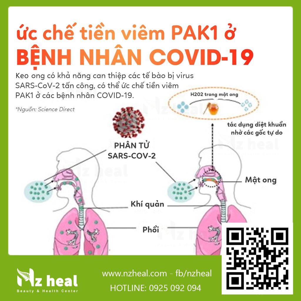 [Hỏa tốc] Xịt Họng Keo Ong Propolis Spray Plus (BIF 40+) Hỗ Trợ Giảm Ho Đau Rát Họng Nhiệt Miệng 30ml