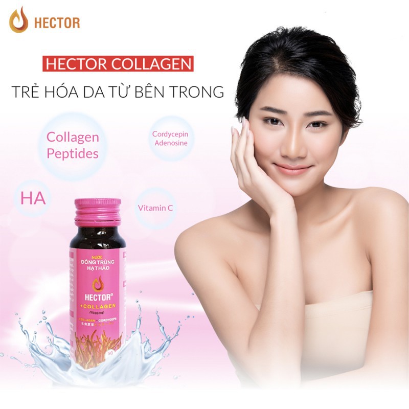 [KHỎE CHÀNG- BỔ NÀNG]  Nước Uống Đông Trùng Hạ Thảo Hector Sâm và Collagen 20 Chai Hỗ Trợ Sinh Lý Nam Nữ