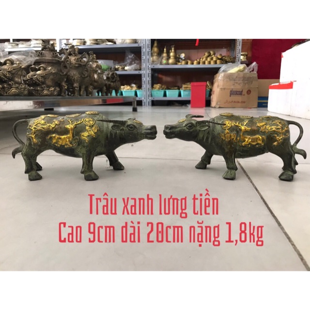 Cặp Trâu Lưng Tiền Chiêu Tài