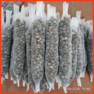 Phân dê cho hoa lan đã xử lý túi 10cm