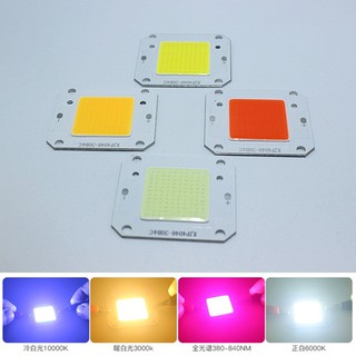 12v 32V 50W LED COB Chip Công Suất Cao Trắng Ấm Toàn Phổ Lạnh Trắng Mát Trắng Cho Đèn Trần Đèn Pha