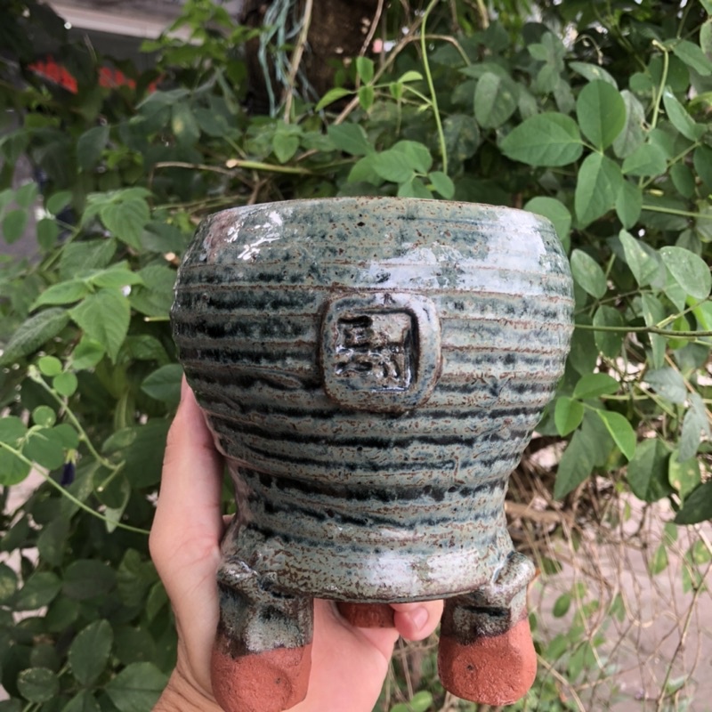 Chậu xuất Hàn trồng sen đá