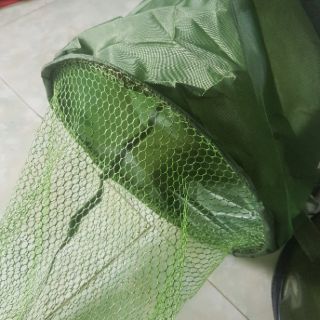 Túi đựng cá giá rẻ