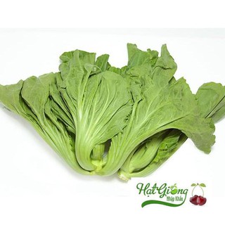 Gói 3gr hạt giống rau cải hồng kong 1 kg 1 cây LINH NGOC