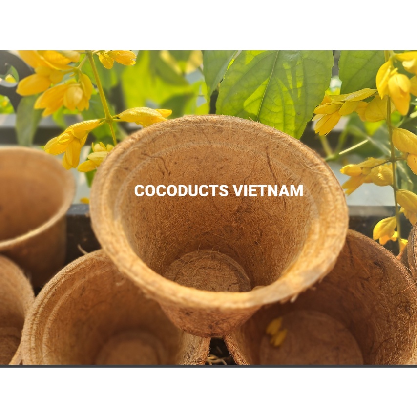 Chậu xơ dừa ép nhiệt  Coir Pot