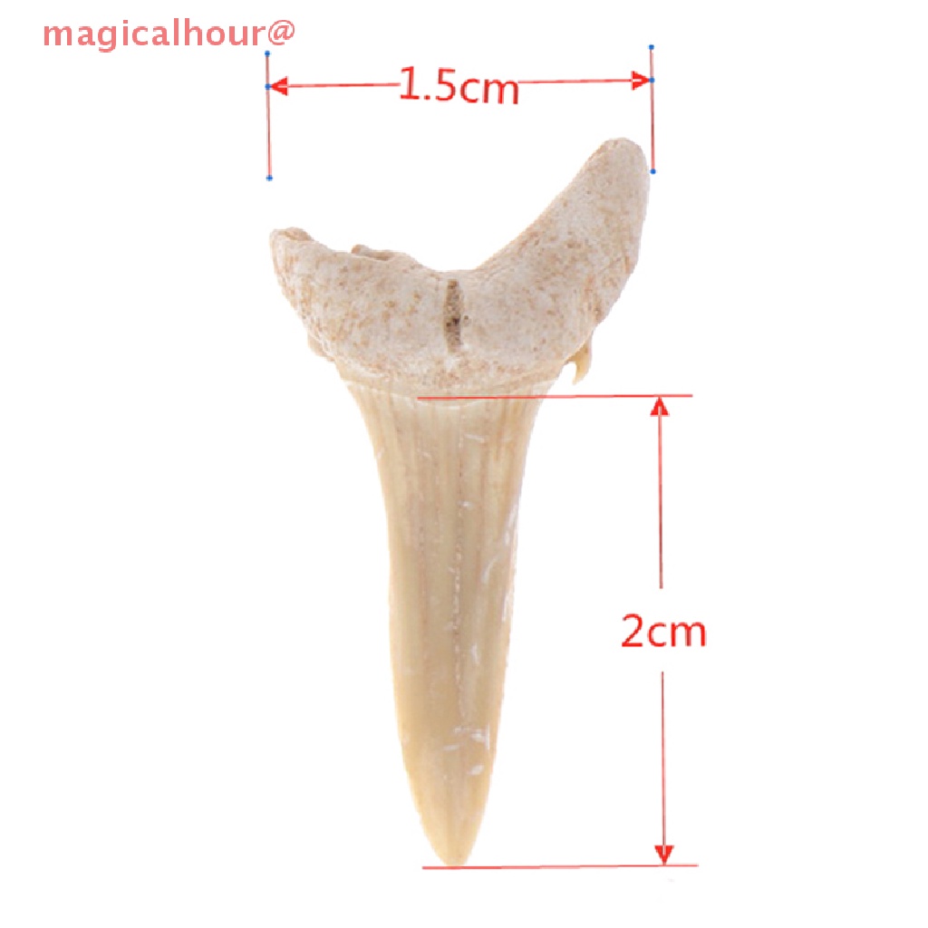 Mặt Dây Chuyền Hình Răng Cá Mập Bằng Khoáng Chất Tự Nhiên Mới