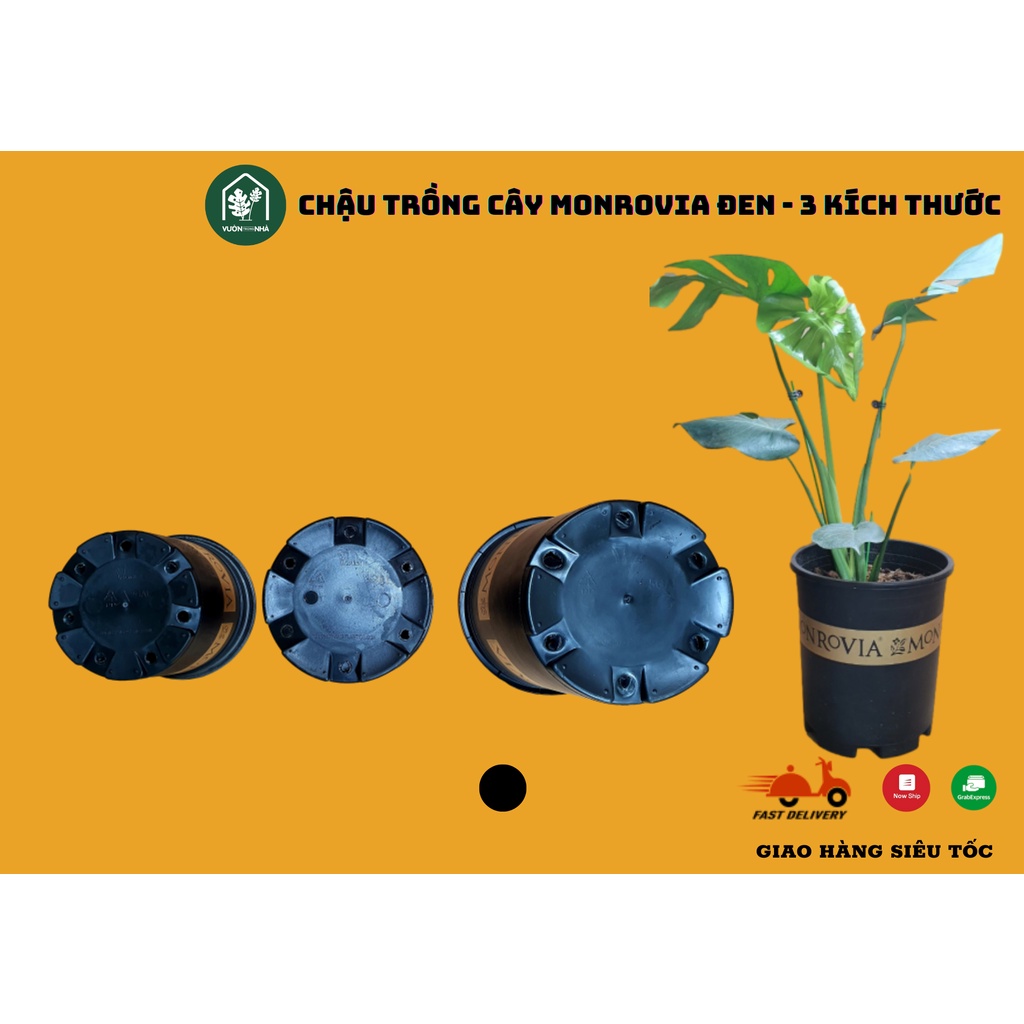 Chậu nhựa MONROVIA 2 màu sắc 4 kích thước 1GL 2GL 3GL 5GL Việt Nam - Chậu trồng cây cảnh