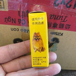 Trị ve rận ở mèo và chó