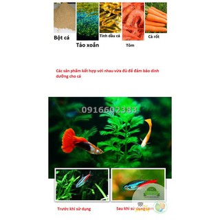 Thức ăn dạng lá Flakes atemia