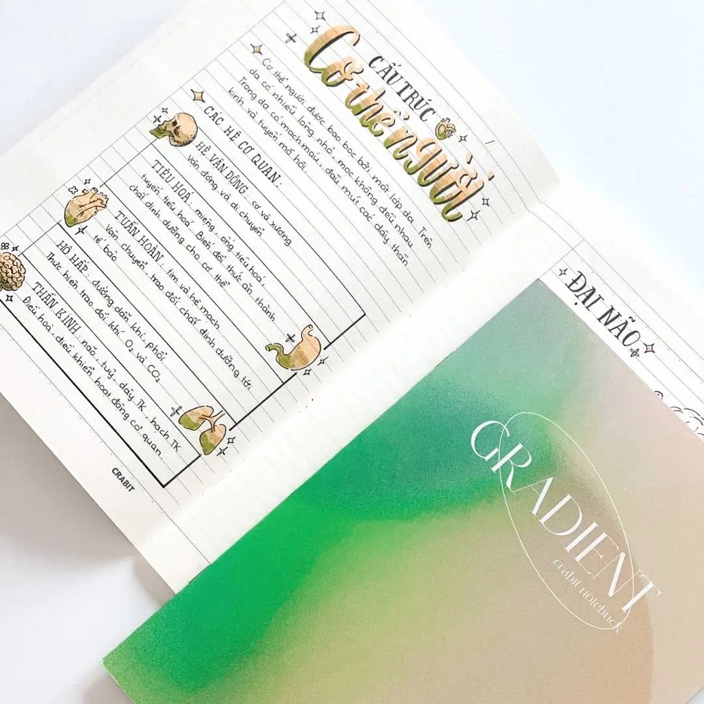 Vở kẻ ngang CRABIT 80 trang - Gradient Xanh lá - Tập học sinh, sinh viên khổ B5 giá rẻ