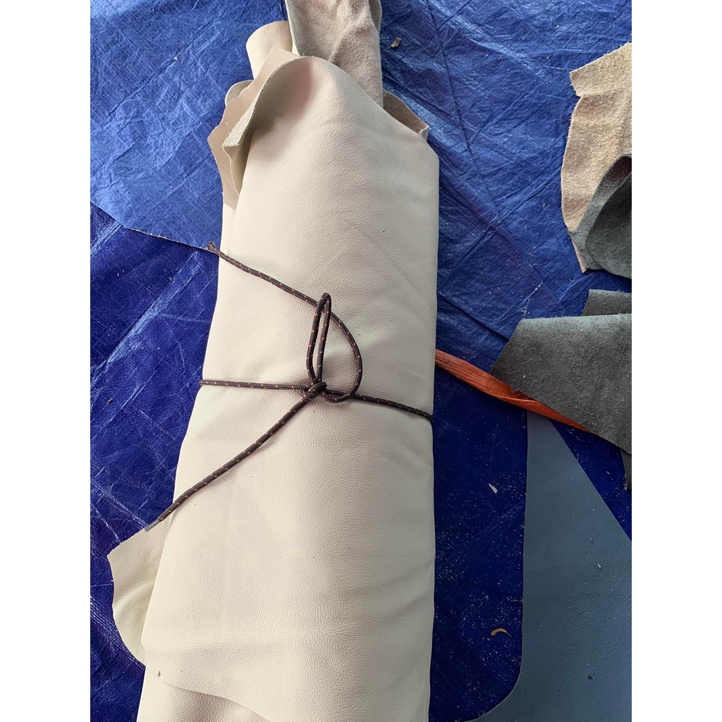 Da salon ý da bỏ thật