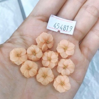 Hoa bột ốp đá đính móng tay chân mã 454819