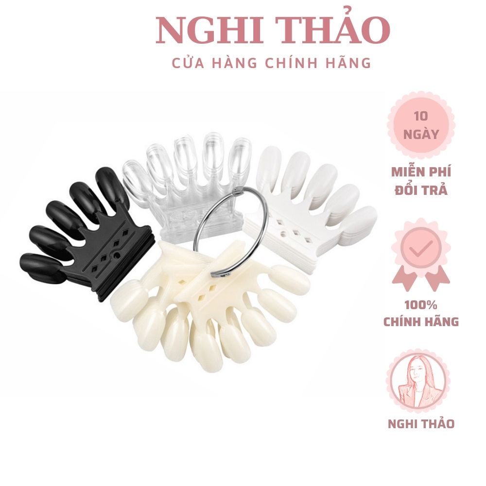 Móng mẫu vương miện tập vẽ