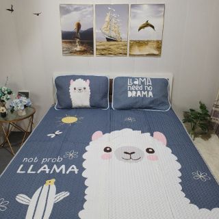 CHIẾU ĐIỀU HÒA TENCEL M6×2M